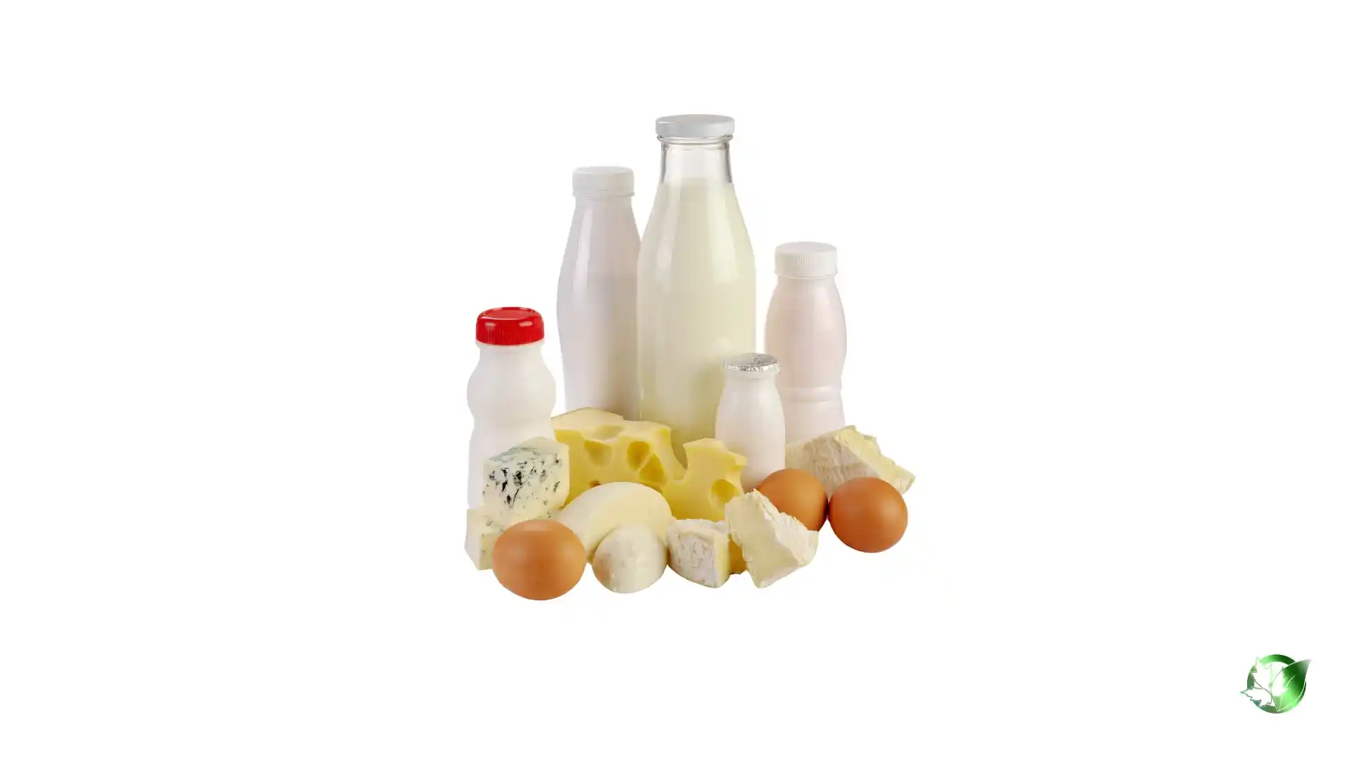 Dairy Products1.webp
